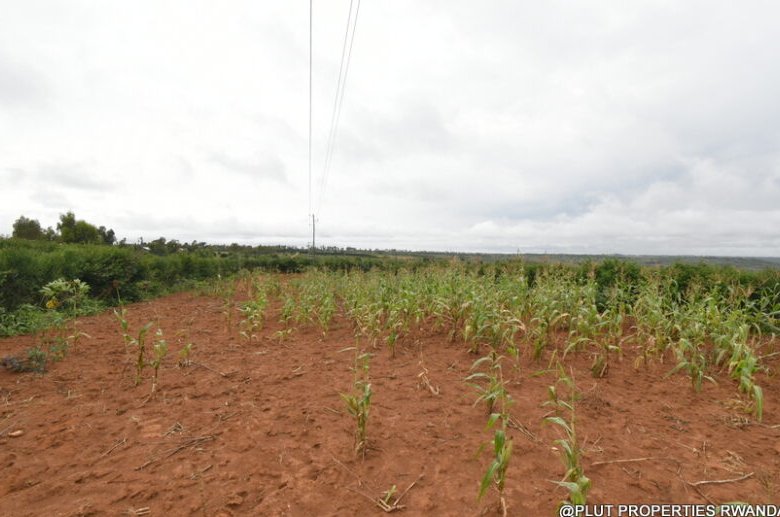 Prime Plot for Sale in Bugesera 