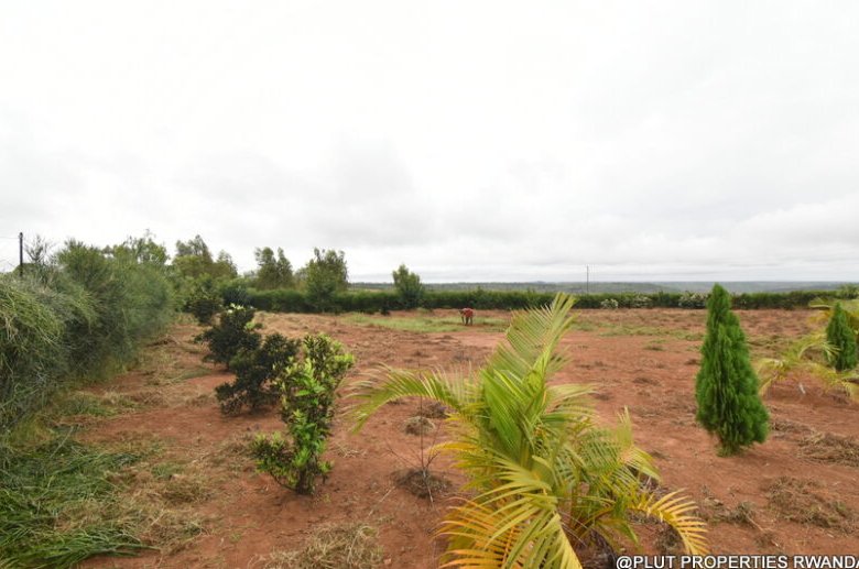 Prime Plot for Sale in Bugesera 