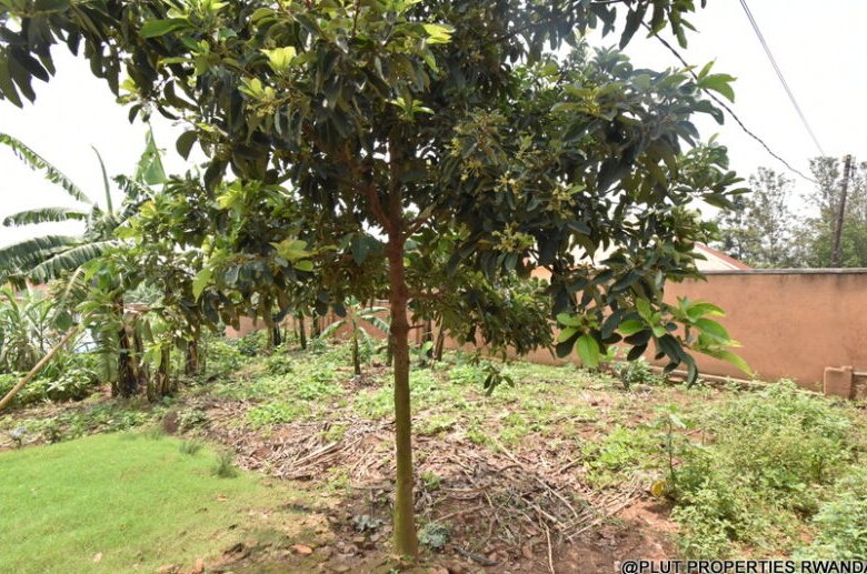 Prime Plot for Sale in Masaka 