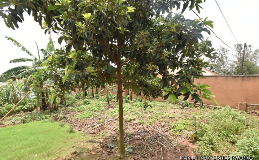 prime-plot-for-sale-plut-properties-15-836×517 Prime Plot for Sale in Masaka