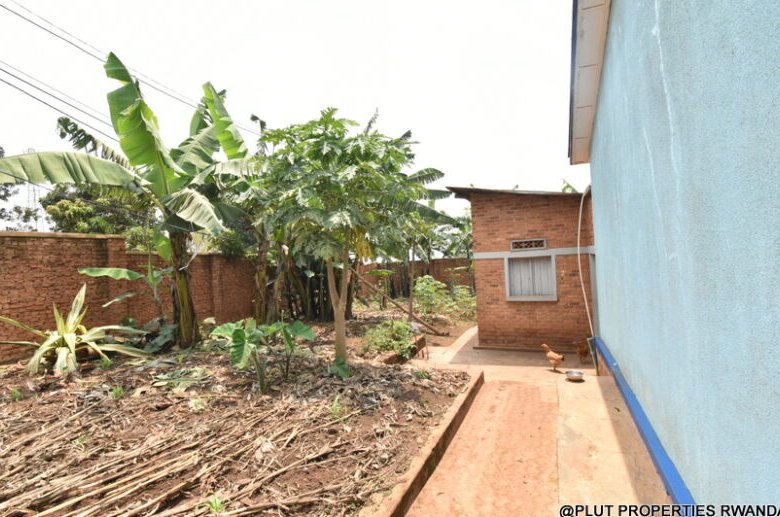 Prime Plot for Sale in Masaka 
