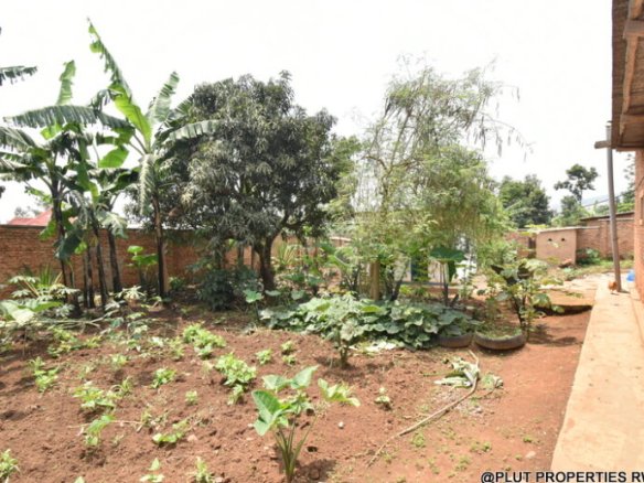 Prime Plot for Sale in Masaka 