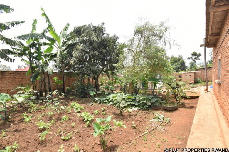 Prime Plot for Sale in Masaka 