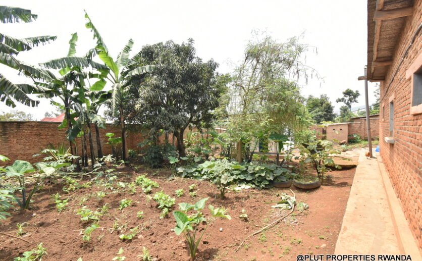 prime-plot-for-sale-plut-properties-4-836×517 Prime Plot for Sale in Masaka