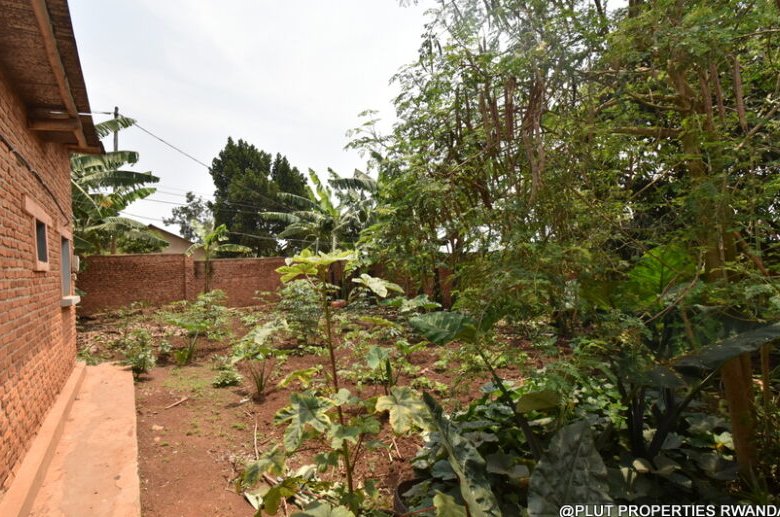 Prime Plot for Sale in Masaka 
