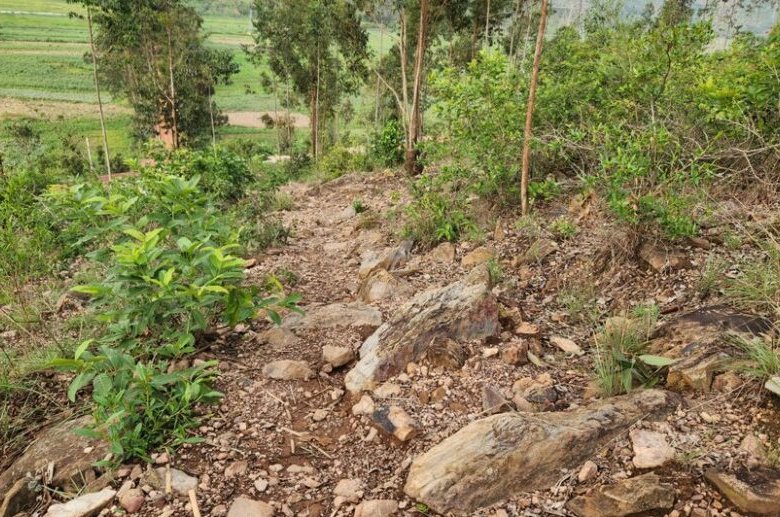 Land for Sale in Bugesera – Ideal Quarry Site with Premium Stone Deposit