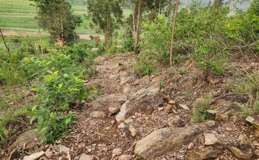 Land for Sale in Bugesera – Ideal Quarry Site with Premium Stone Deposit