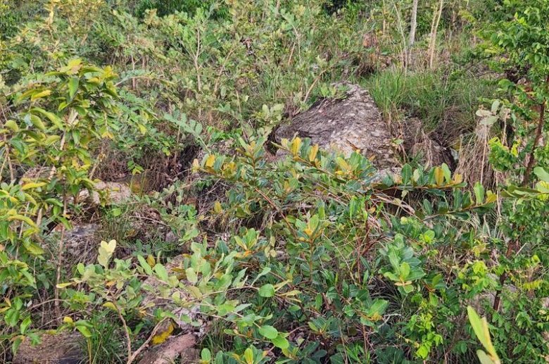 Land for Sale in Bugesera – Ideal Quarry Site with Premium Stone Deposit