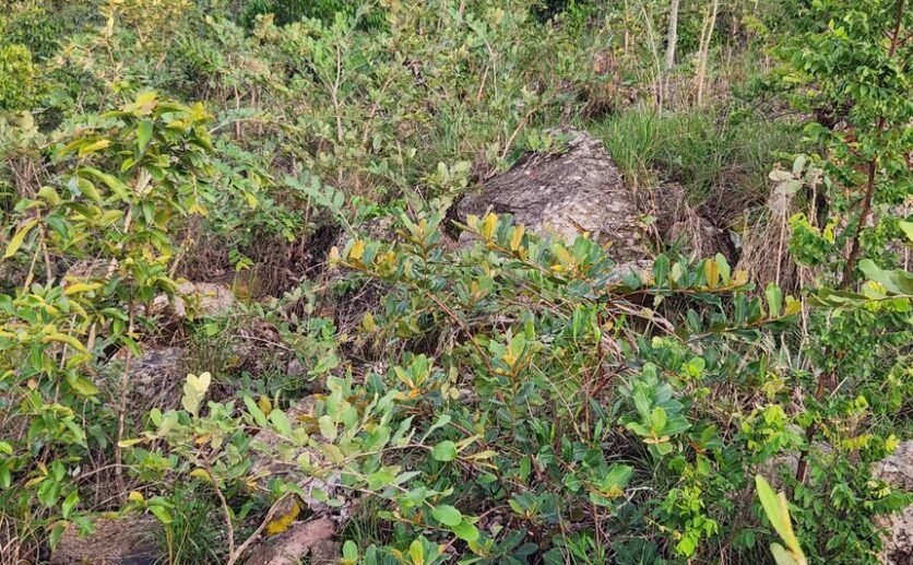 Land for Sale in Bugesera – Ideal Quarry Site with Premium Stone Deposit