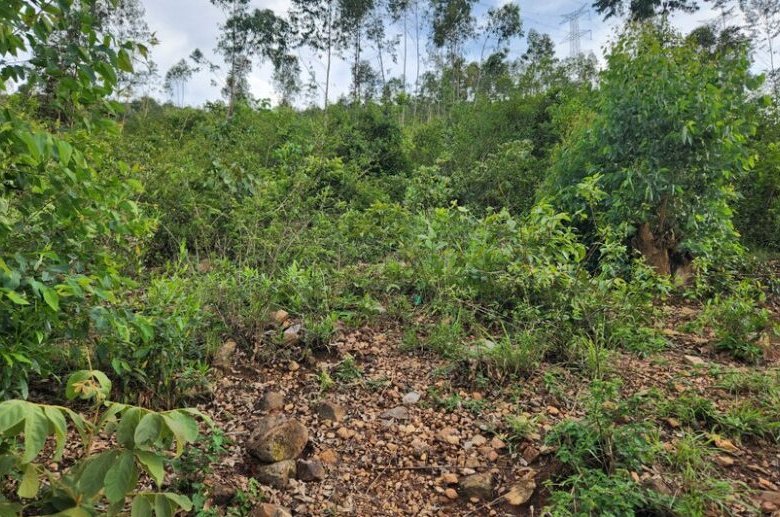 Land for Sale in Bugesera – Ideal Quarry Site with Premium Stone Deposit
