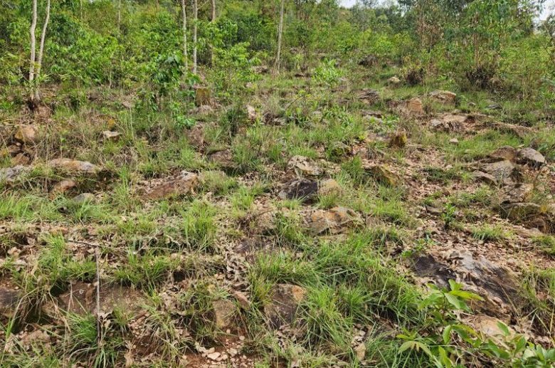 Land for Sale in Bugesera – Ideal Quarry Site with Premium Stone Deposit