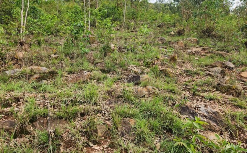Land for Sale in Bugesera – Ideal Quarry Site with Premium Stone Deposit