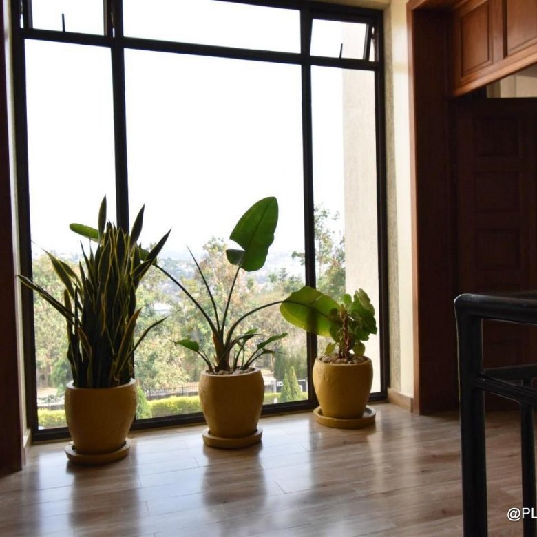 Apartment for rent in Kigali Kinyinya