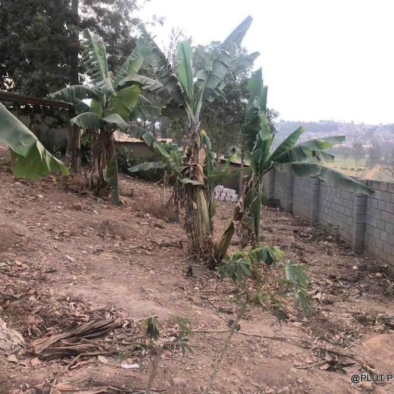 Big industrial land for sale