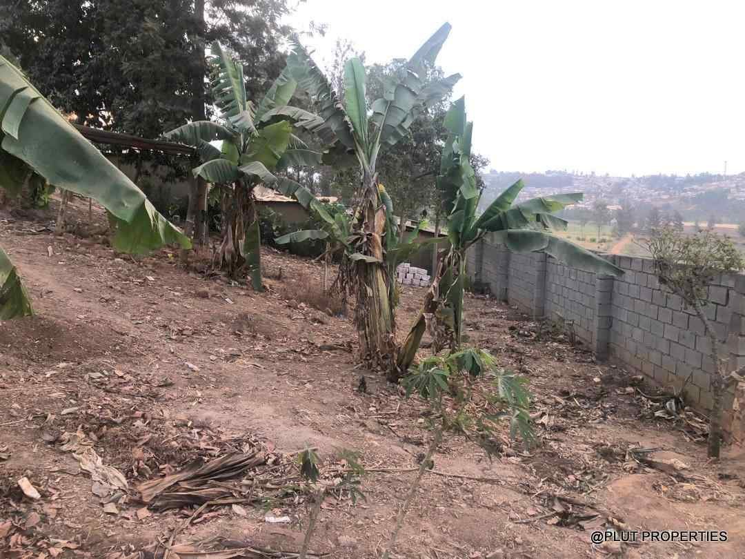 Big industial land for sale plut properties 3-100kb Big industrial land for sale