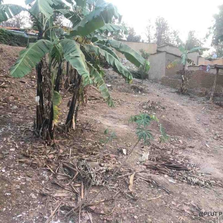 Big industrial land for sale