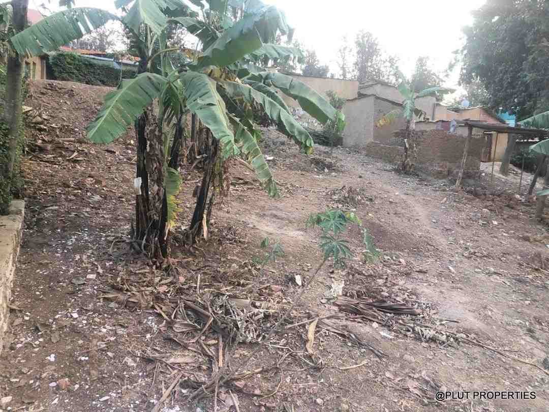 Big industial land for sale plut properties 5-100kb Big industrial land for sale