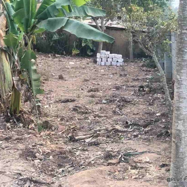Big industrial land for sale