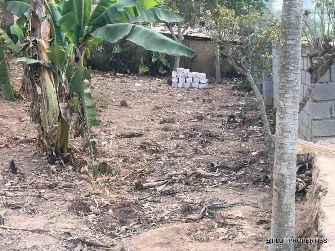 Big industial land for sale plut properties 6-100kb Big industrial land for sale