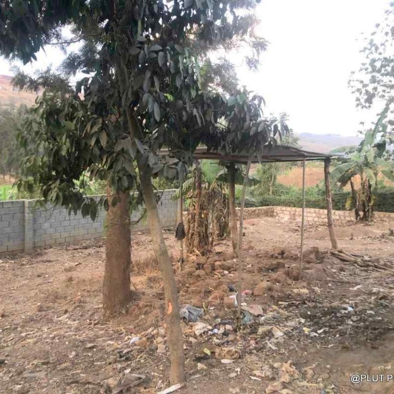 Big industrial land for sale