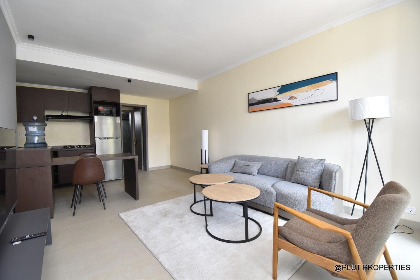 Gacuriroonebedroomforrentplutproperties15 Gacuriro one bedroom for rent