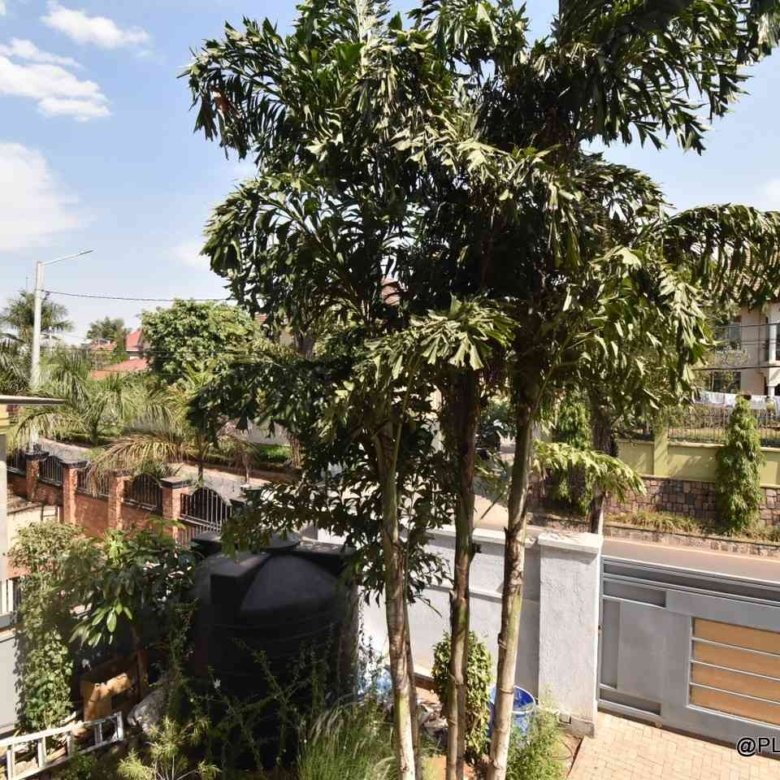 Gacuriro one bedroom for rent