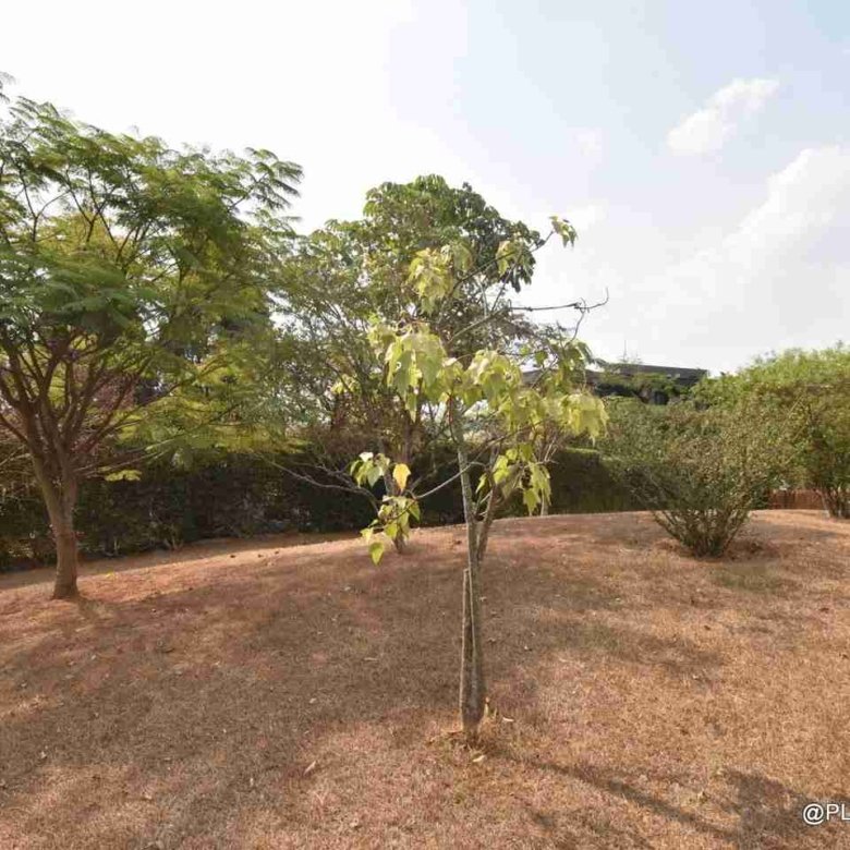 House for rent in Nyarutarama