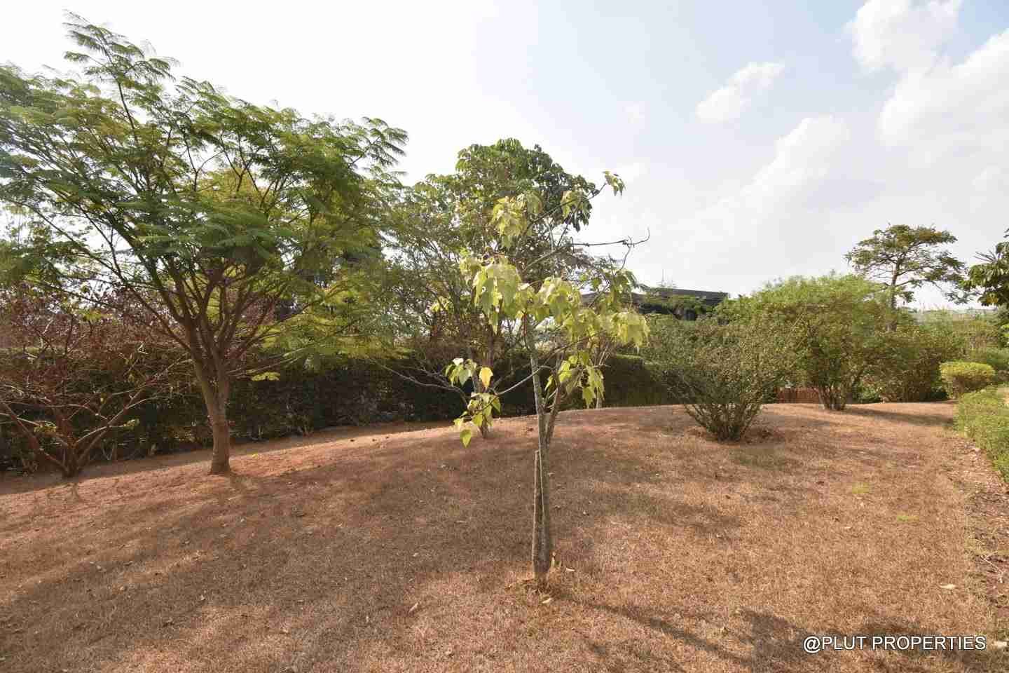 House for rent in Nyarutarama plut properties 15-100kb House for rent in Nyarutarama