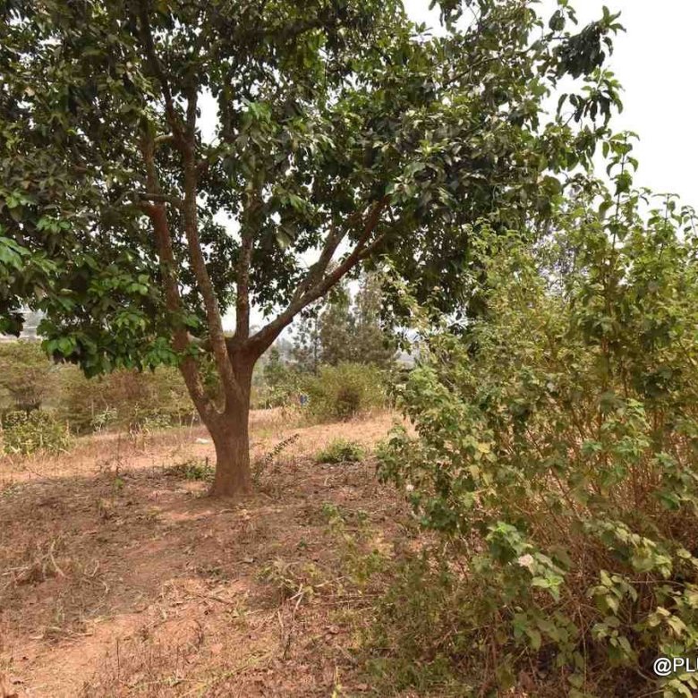 Plot for sale in Mageragere