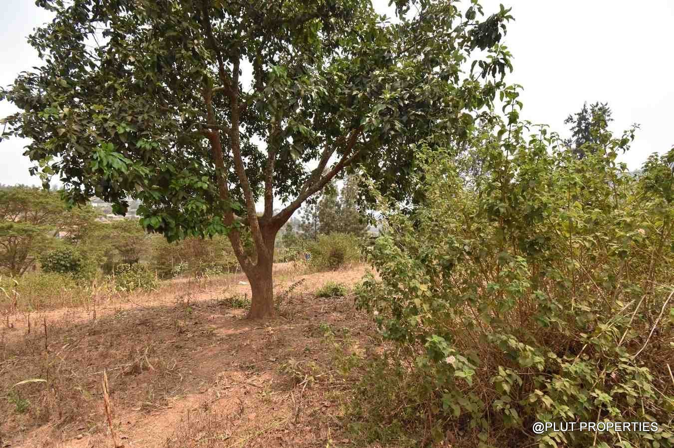 plot for sale in Mageragere plut properties (2) Plot for sale in Mageragere