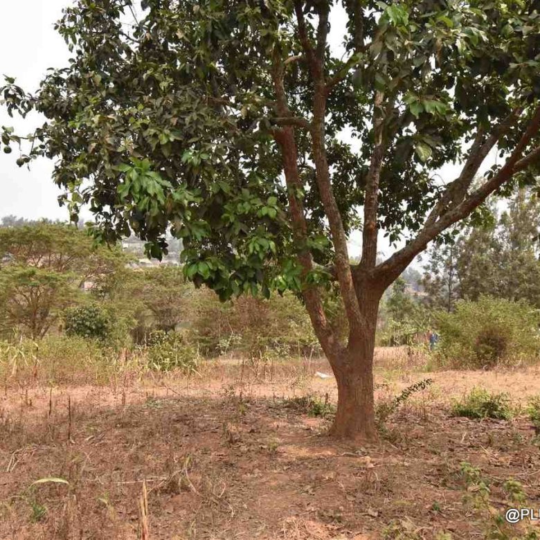 Plot for sale in Mageragere