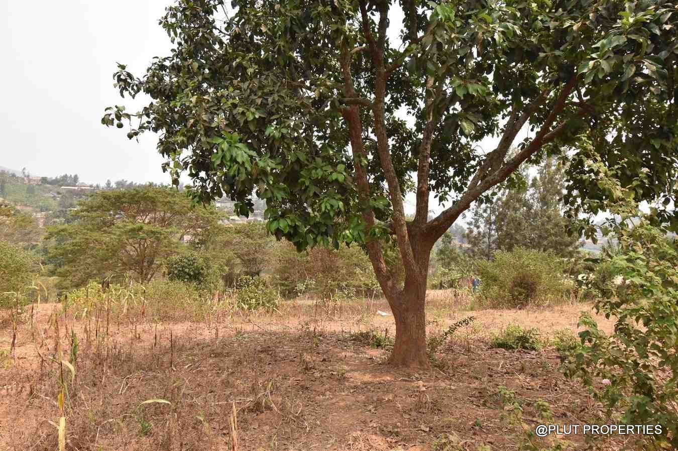 plot for sale in Mageragere plut properties (5) Plot for sale in Mageragere