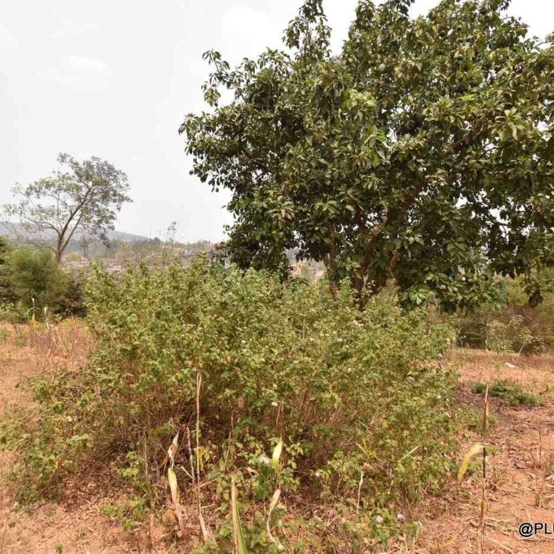 Plot for sale in Mageragere