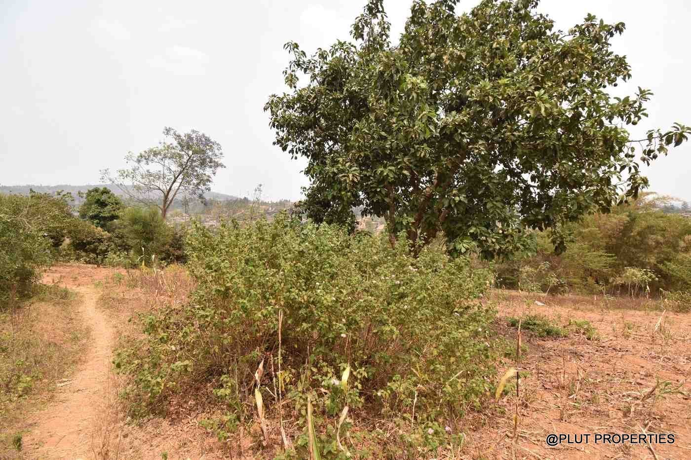 plot for sale in Mageragere plut properties (6) Plot for sale in Mageragere