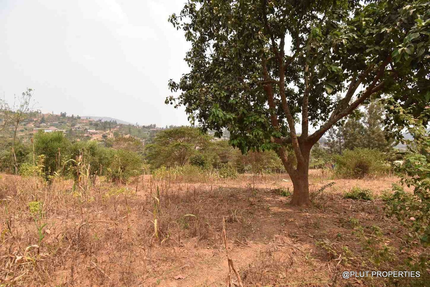 plot for sale in Mageragere plut properties (7) Plot for sale in Mageragere