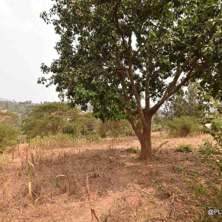 Plot for sale in Mageragere