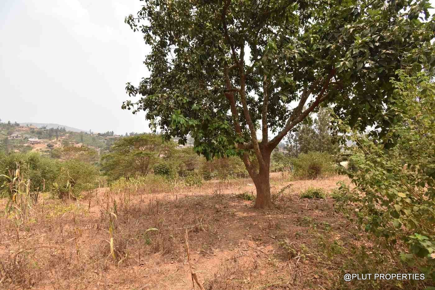 plot for sale in Mageragere plut properties (8) Plot for sale in Mageragere