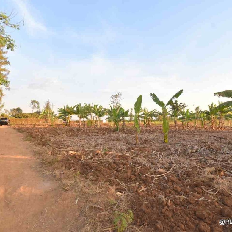 Big plot for sale Masaka