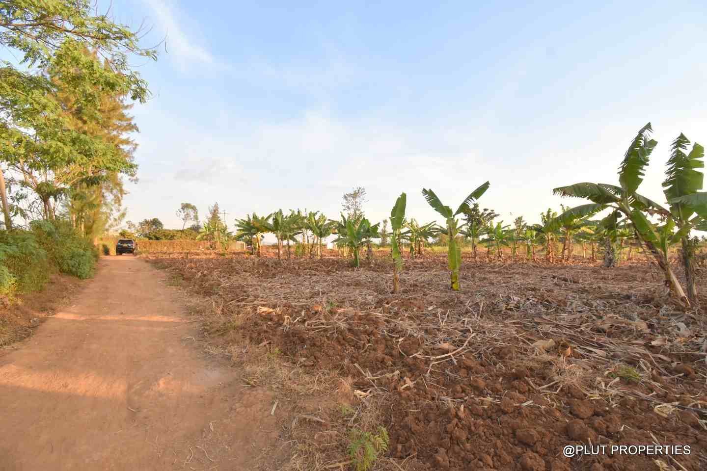 Big plot for sale in Masaka plut properties 1-100kb Big plot for sale Masaka