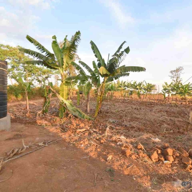 Big plot for sale Masaka