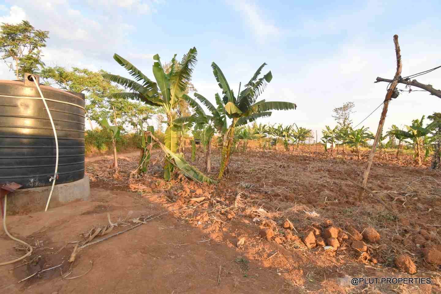 Big plot for sale in Masaka plut properties 2-100kb Big plot for sale Masaka