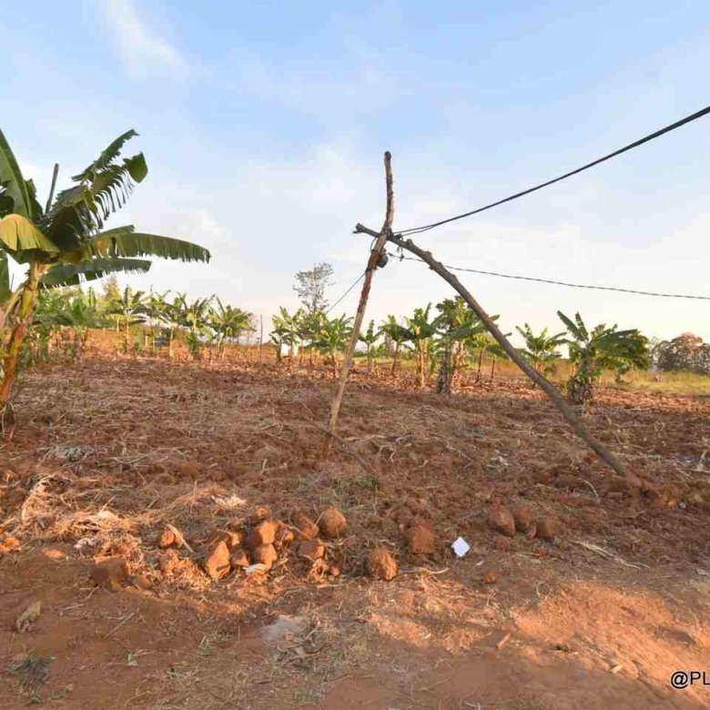 Big plot for sale Masaka
