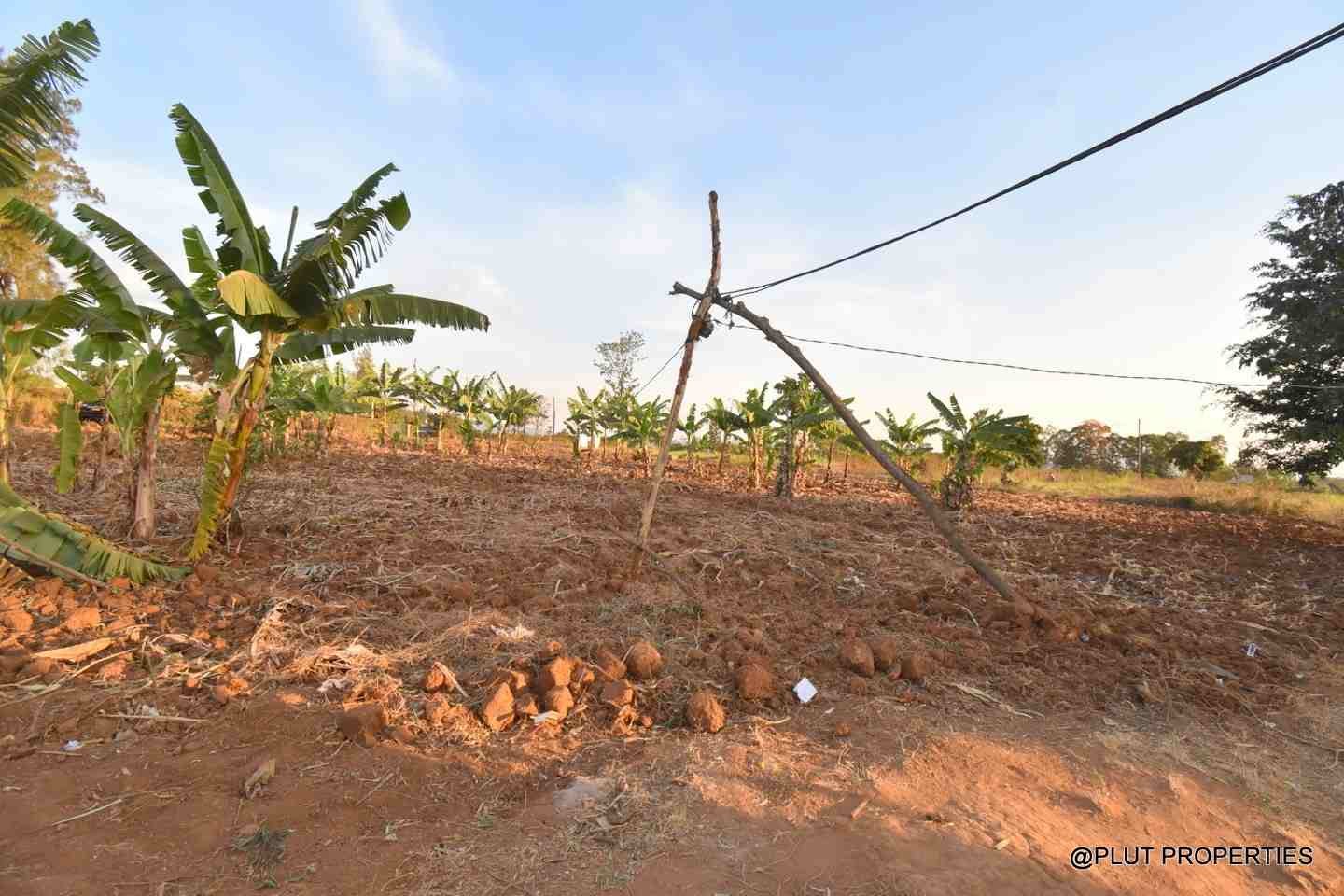 Big plot for sale in Masaka plut properties 3-100kb Big plot for sale Masaka