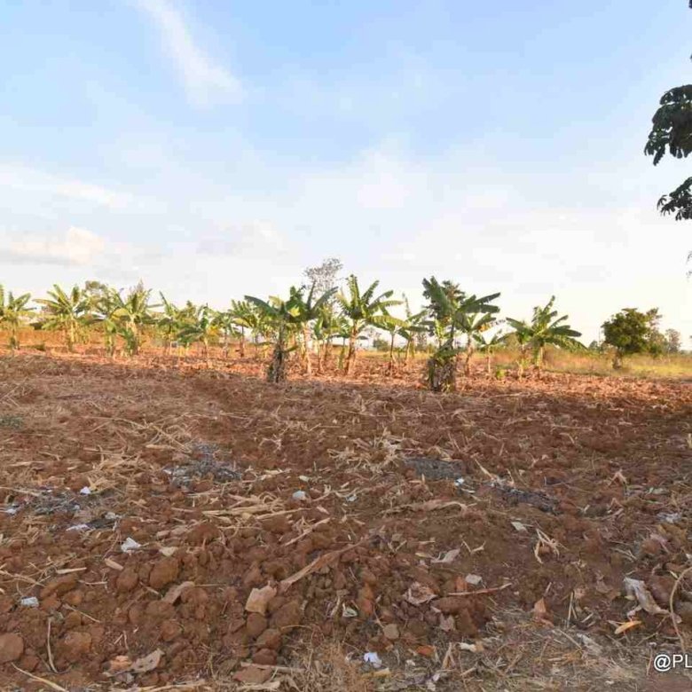 Big plot for sale Masaka