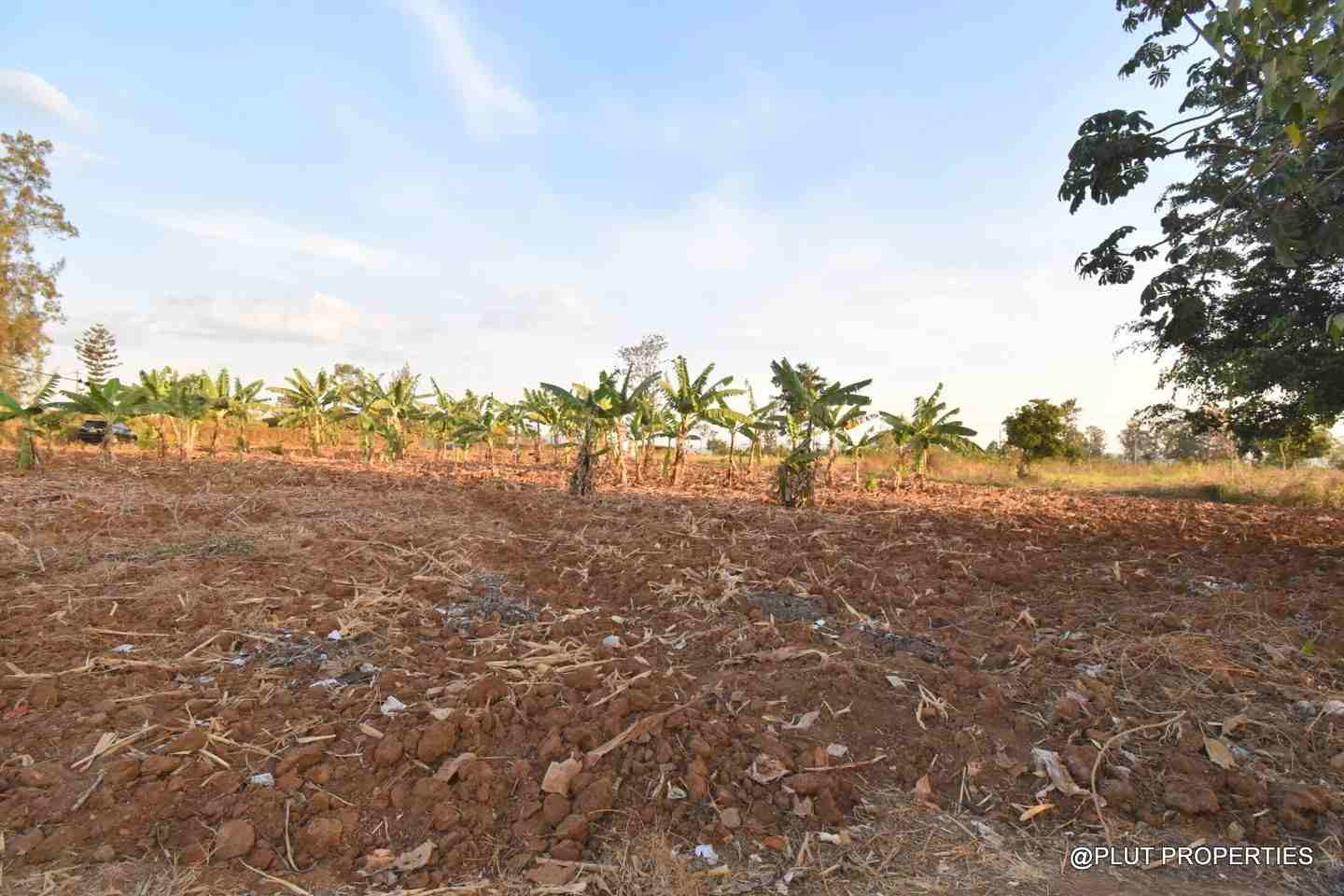 Big plot for sale in Masaka plut properties 4-100kb Big plot for sale Masaka