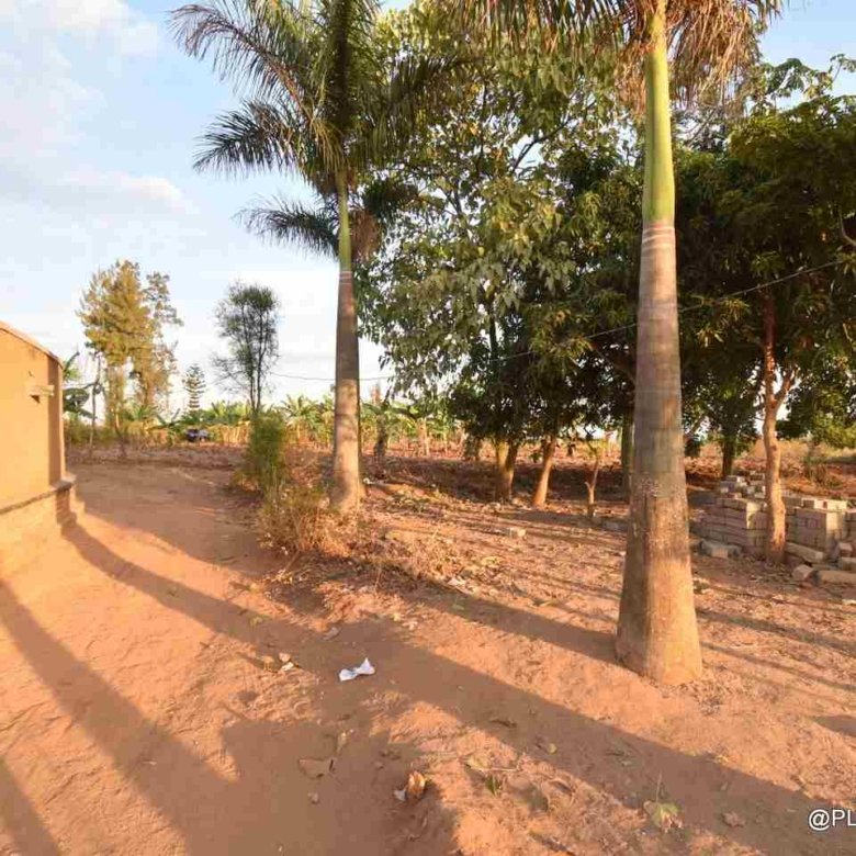 Big plot for sale Masaka
