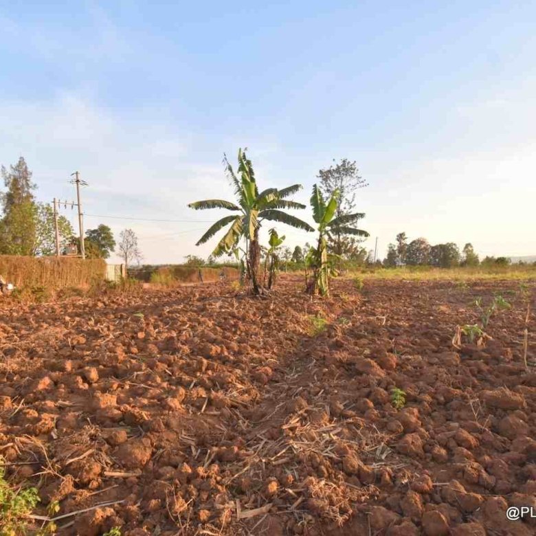 Big plot for sale Masaka