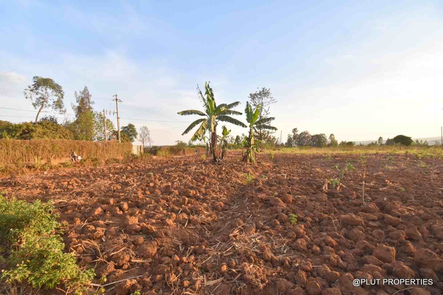 Big plot for sale in Masaka plut properties 6-100kb Big plot for sale Masaka