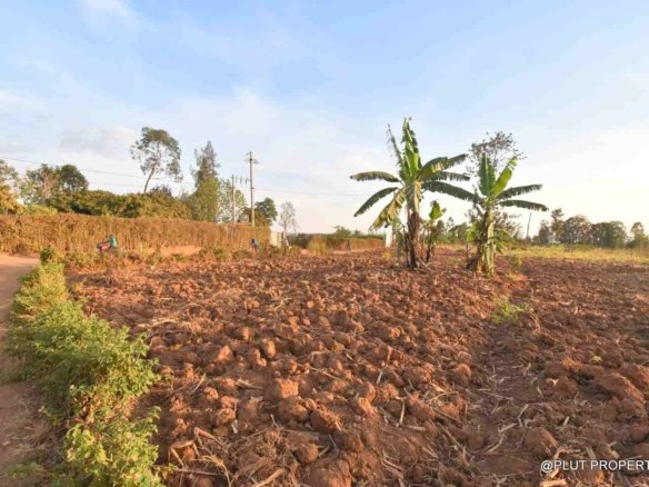 Big plot for sale Masaka