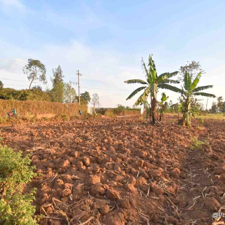 Big plot for sale Masaka